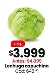 Coto Lechuga capuchina cod: 648 oferta