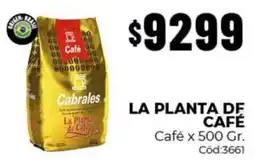 Diarco Cabrales café oferta