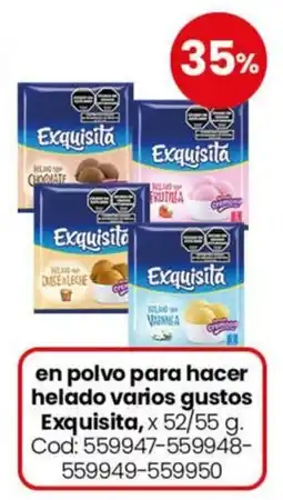Coto Exquisita helado varios gustos oferta