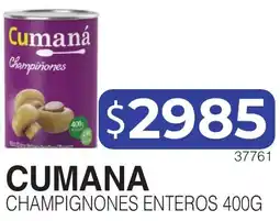 Masivos Cumana champignones enteros oferta