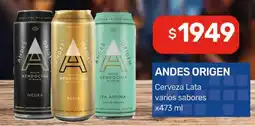 Nini Mayorista Andes origen cerveza lata varios sabores oferta