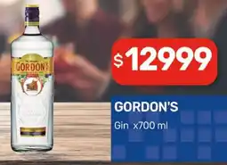 Nini Mayorista Gordon's Gin oferta