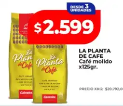 Supermayorista Vital La planta de café café molido oferta