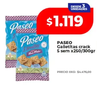 Paseo galletitas crack 5 sem