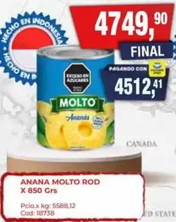 Maxiconsumo Molto anana rod oferta