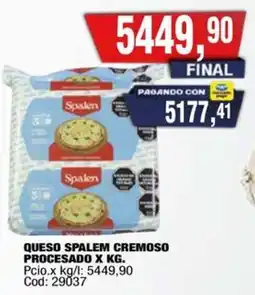 Maxiconsumo Spalem queso cremoso procesado oferta