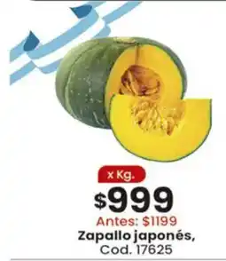 Coto Zapallo japonés oferta