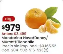 Coto Mandarina Nova/Dancy/Murcot/Ellendalle oferta