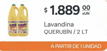 Querubín lavandina