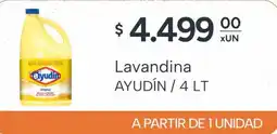 El Milagro Mayorista Ayudín lavandina oferta