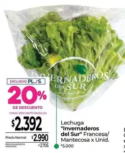 La Anonima Lechuga oferta