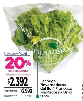 Lechuga