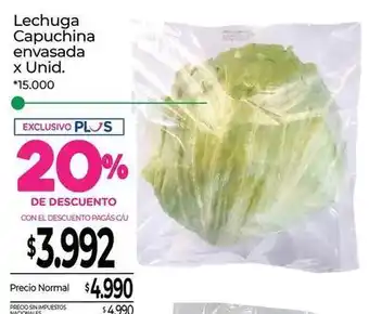 Lechuga capuchina