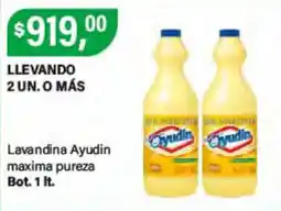 Supermercados Damesco Ayudin lavandina maxima pureza oferta