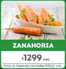 Jumbo Zanahoria oferta