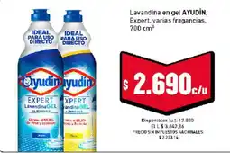 Cooperativa Obrera Ayudin lavandina en gel expert oferta