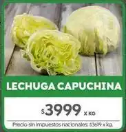 Jumbo Lechuga capuchina oferta