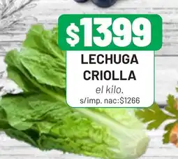Almacor Lechuga criolla oferta