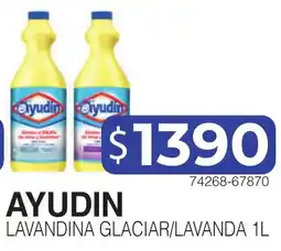 Masivos Ayudin lavandina glacial/lavanda oferta