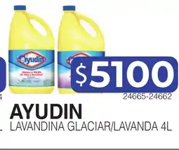 Masivos Ayudin limpiador oferta