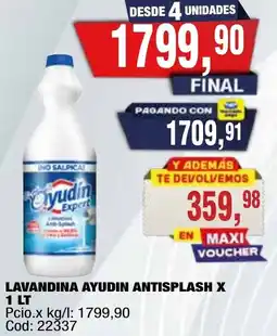 Maxiconsumo Ayudin lavandina antisplash x oferta