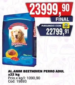 Maxiconsumo Beethoven perro adul oferta