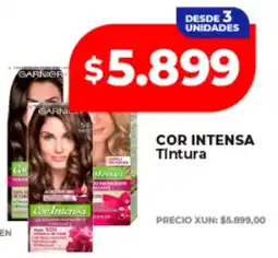 Supermayorista Vital Garnier cor intensa tintura oferta