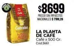 Diarco Cabrales - café oferta