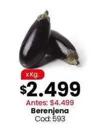 Coto Berenjena cod: 593 oferta