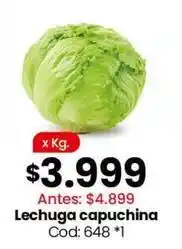 Coto Lechuga capuchina cod: 648 oferta