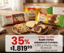 Coto La cumbre - budin varios sabores oferta