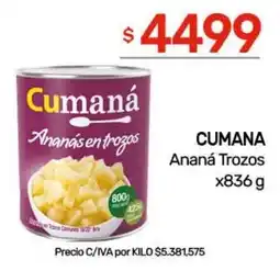 Nini Mayorista Cumaná ananá en trozos oferta