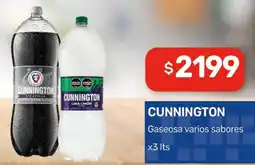 Nini Mayorista Cunnington gaseosa varios sabores oferta