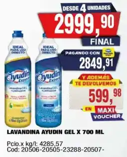 Maxiconsumo Ayudin lavandina gel oferta