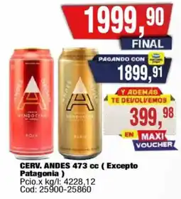Maxiconsumo Cerv. andes 473 cc oferta