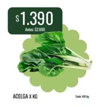 Acelga