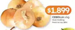 Cordiez Cebolla oferta