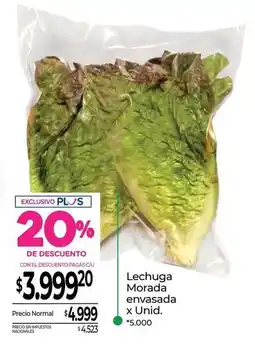 La Anonima Lechuga morada oferta