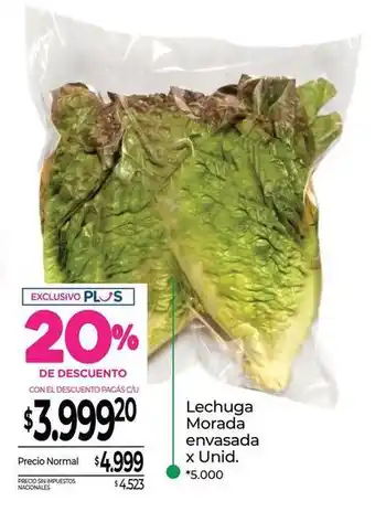 Lechuga morada