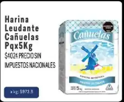 Makro Cañuelas harina leudante oferta