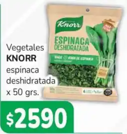 Beltrán Supermercados Knorr espinaca deshidratada oferta