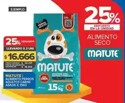 Carrefour Maxi Alimento seco adultos carne asada oferta