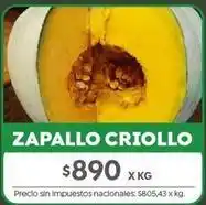 Jumbo Zapallo criollo oferta