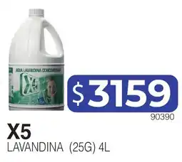 Masivos X5 lavandina oferta
