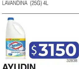 Masivos Ayudin lavandina oferta