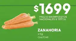 Diarco Zanahoria oferta