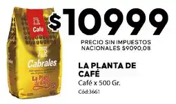 Diarco La Planta De Café Cabralés oferta
