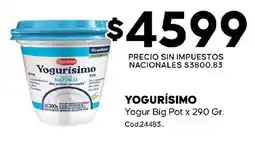 Diarco Yogurísimo yogur big pot oferta
