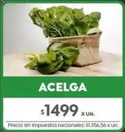 Jumbo Acelga oferta