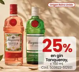 Coto Tanqueray gin oferta